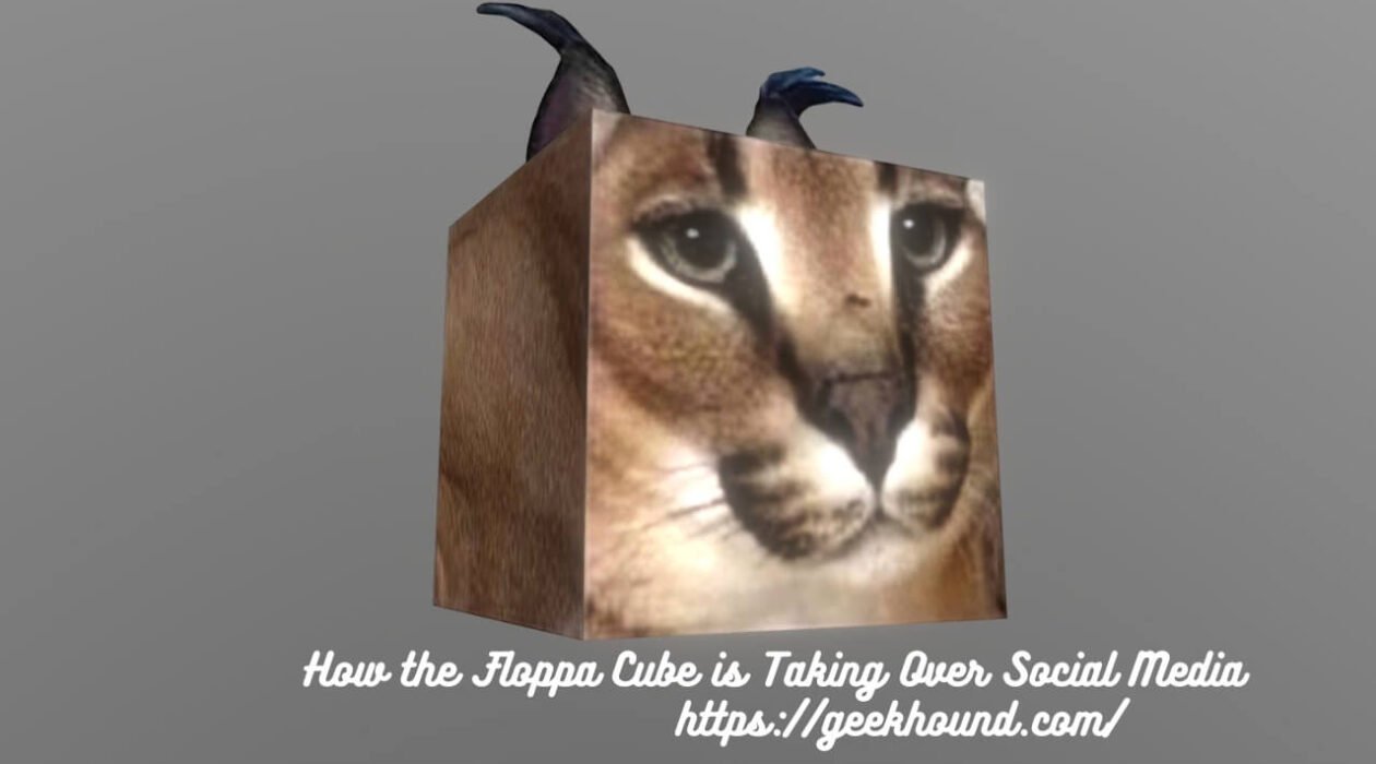 How the Floppa Cube is Taking Over Social Media - Geekhound