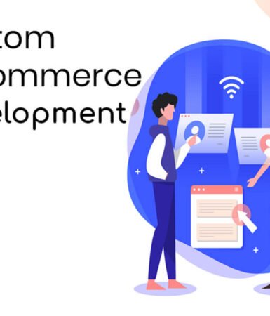 custom ecommerce website development